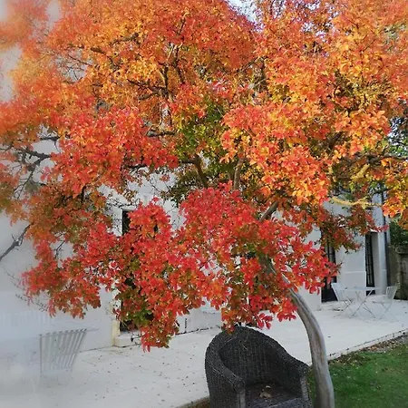 L'escapade Brantôme