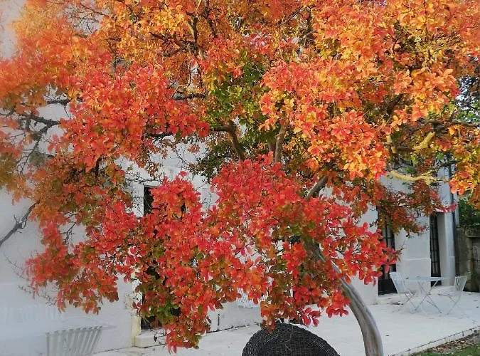 L'escapade Brantôme